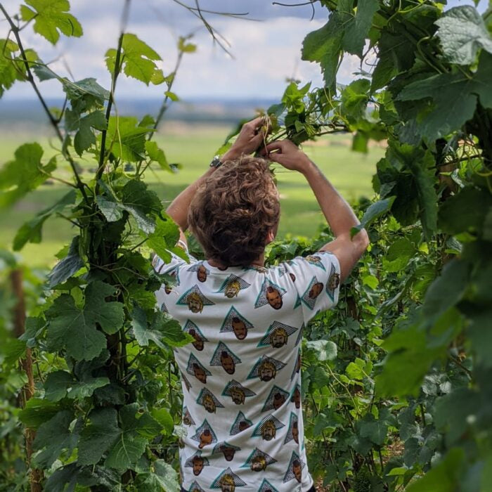Charles Lachaux working in the vineyard