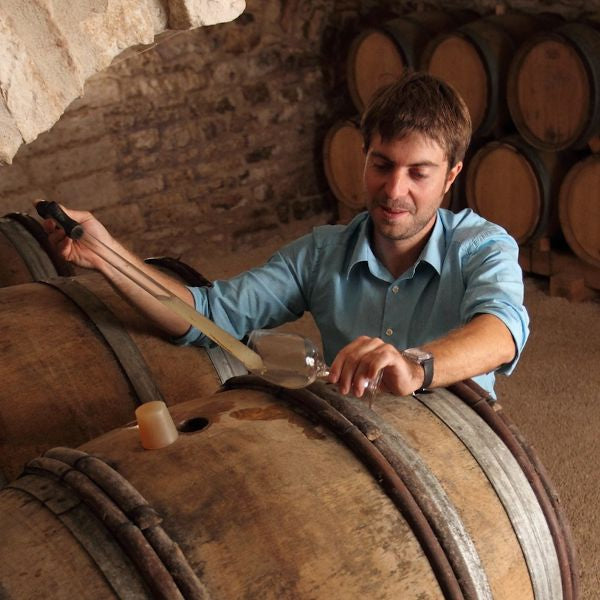 Thomas Pico of Domaine Pattes Loup make steely, lean, organically farmed Chablis