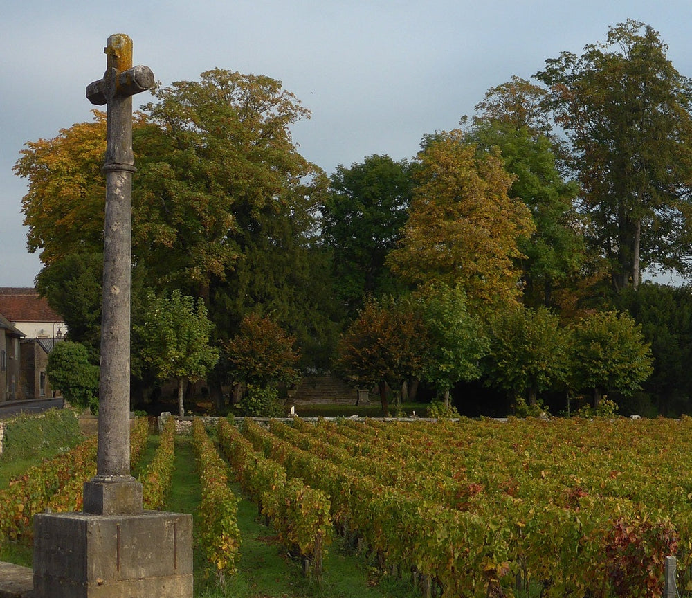 Prieure Roch Clos Goillotte vineyard.
