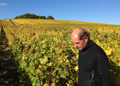Laurent Tribut neighbors Dauvissat in Chablis