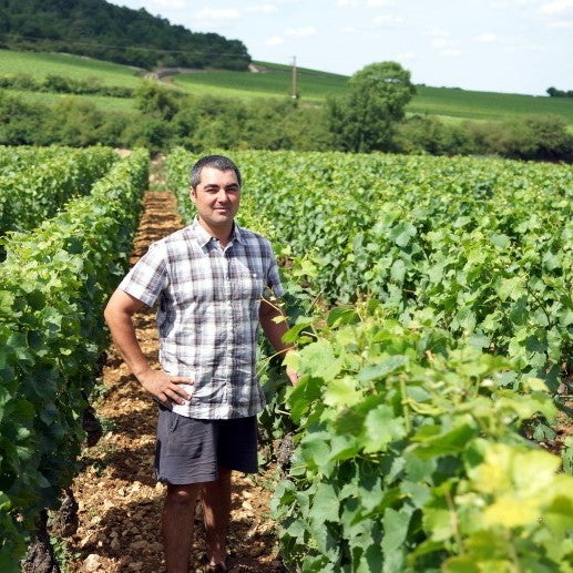 Thomas Colladot in the vineyard