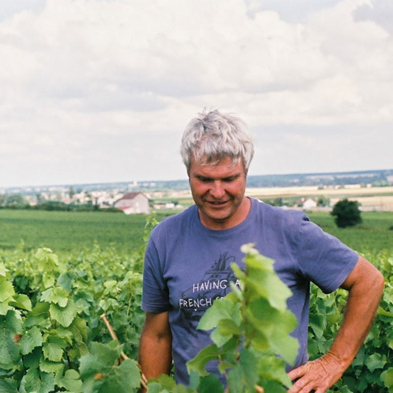 Didier Fornerol in the vineyard