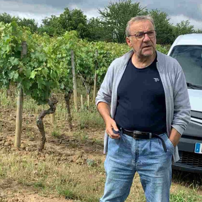 Dominique Dufour in the vineyard