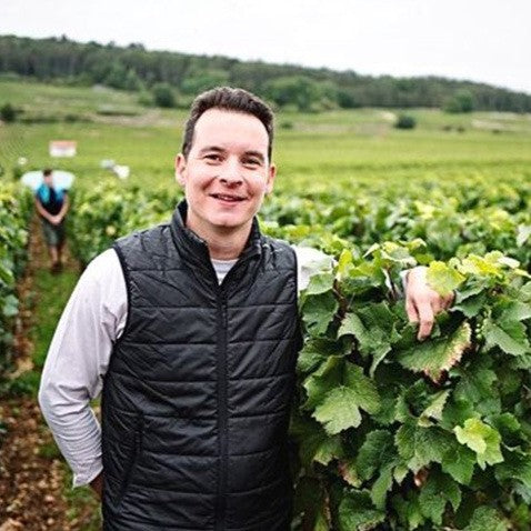 Nicolas Groffier in the vineyard