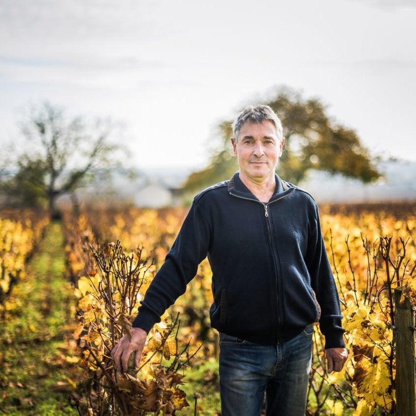 Francois Jouard in the vineyard