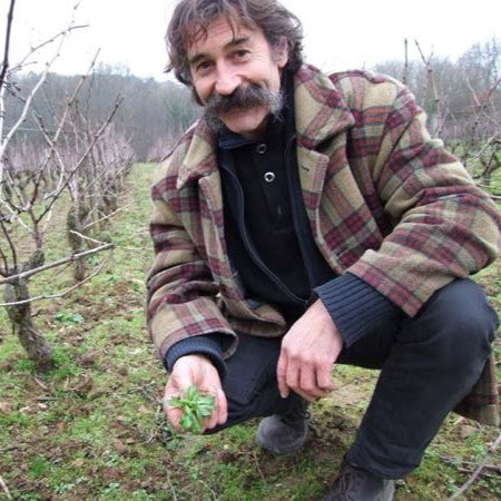 Jo Landron in the vineyard