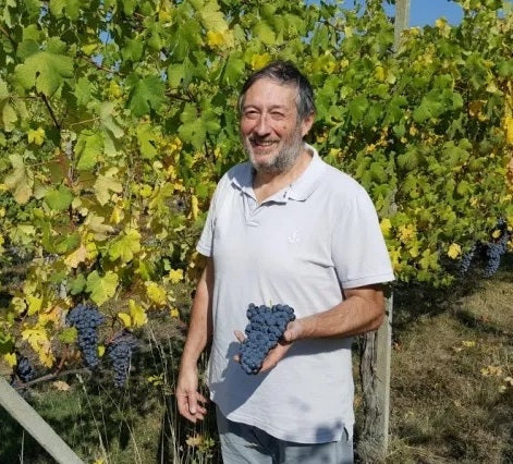 Alberto Arlunno in the vineyards of Antichi Vigneti di Cantalupo
