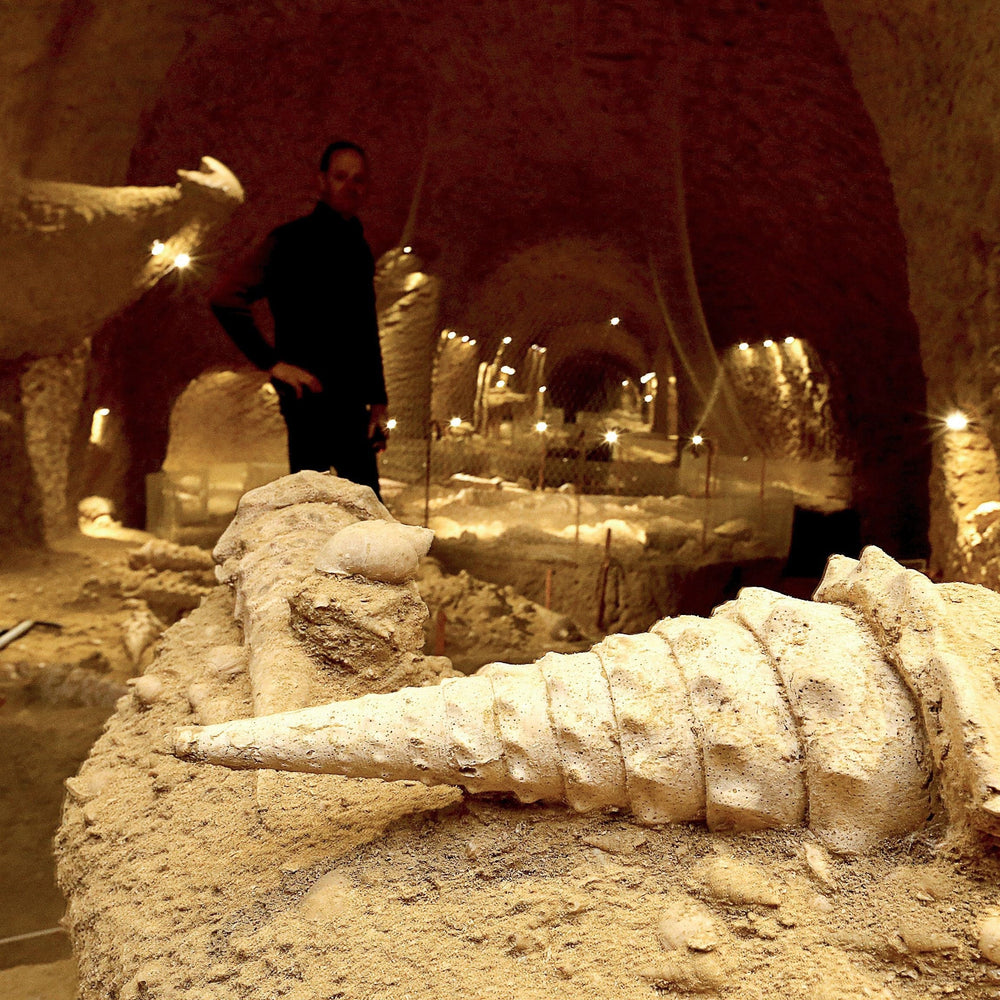 Inside La Cave aux Coquillages of Legrand-Latour