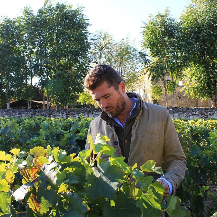 Nicolas Audebert – Chief Winemaker at Chateau Rauzan Segla