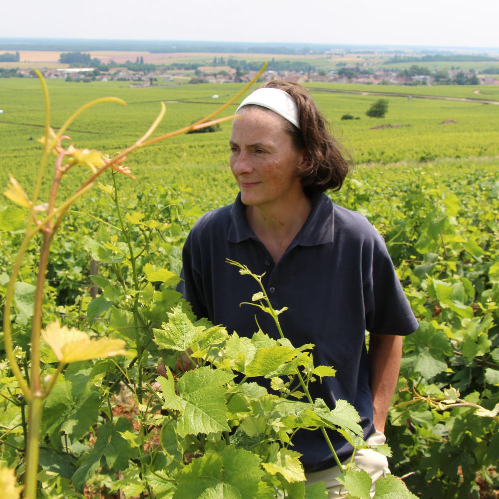 Claire Naudin in the vineyard