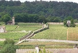Coche Dury vineyards in Meursault.