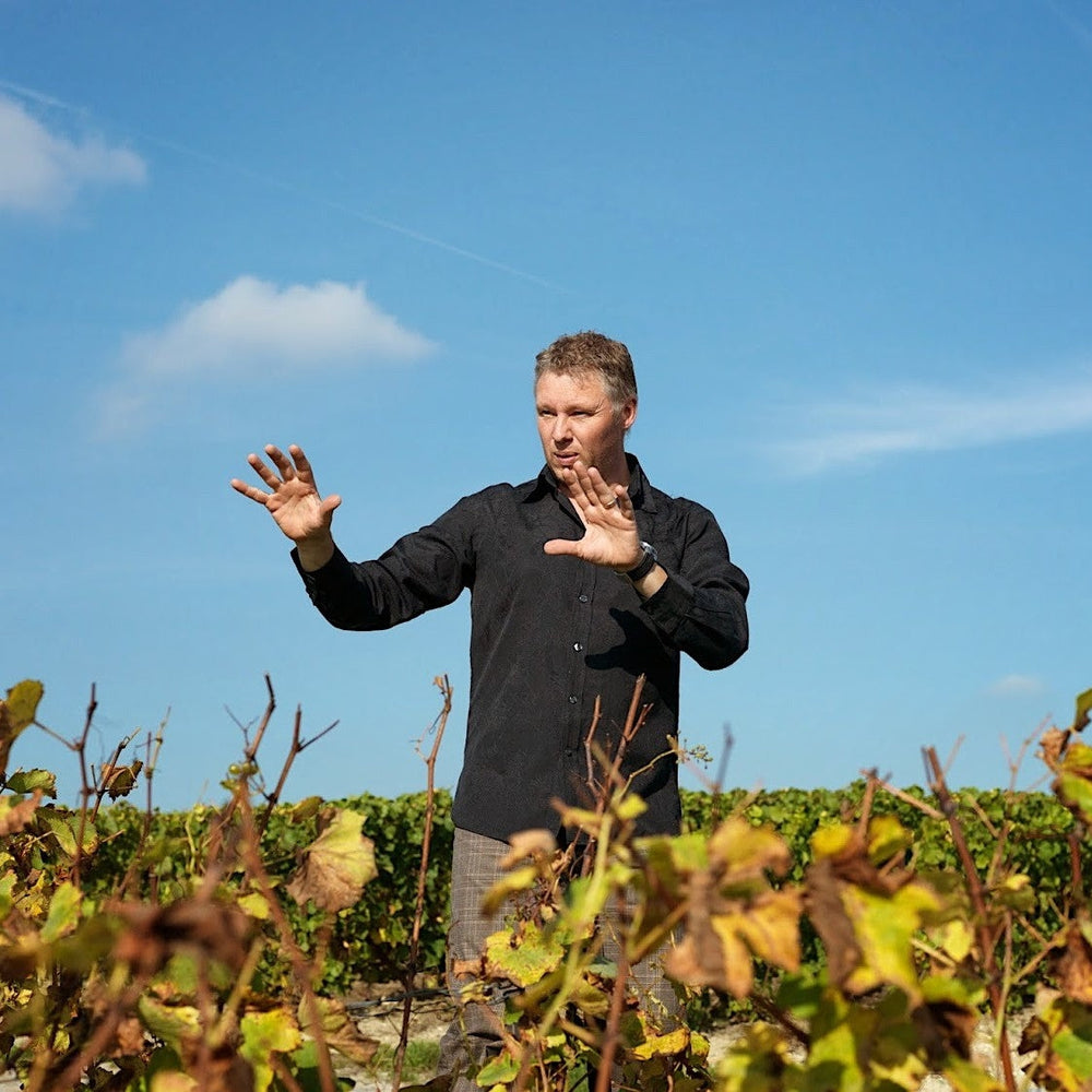 David Leclapart in the vineyard