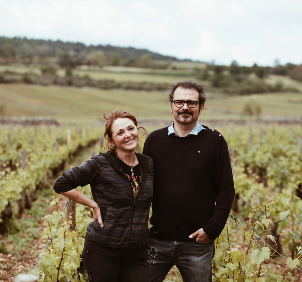 Domaine Bernard-Bonin makes highly sought after White Bugundy from Meursault and Puligny-Montrachet