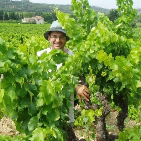 Laurent Charvin in the vineyard
