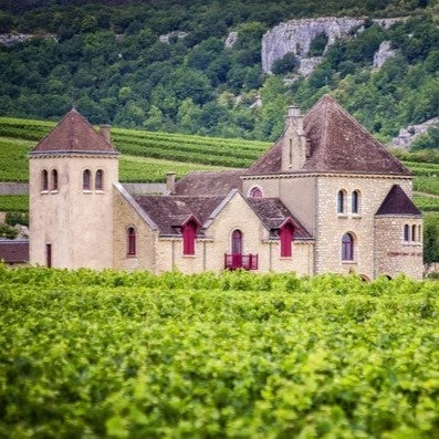 The Domaine Chateau De La Tour estate