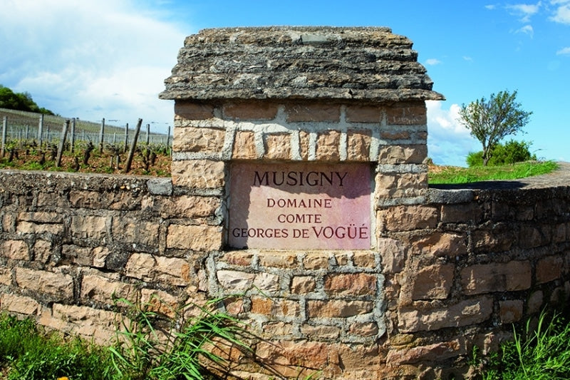 Domaine Comte Georges de Vogue