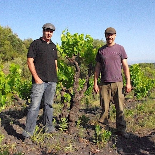Danjou-Banessy brothers Sebastion and Benoit in the vineyard