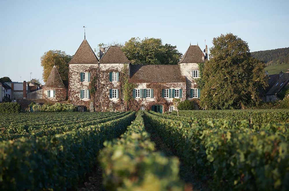 Domaine de la Commaraine vineyard and castle