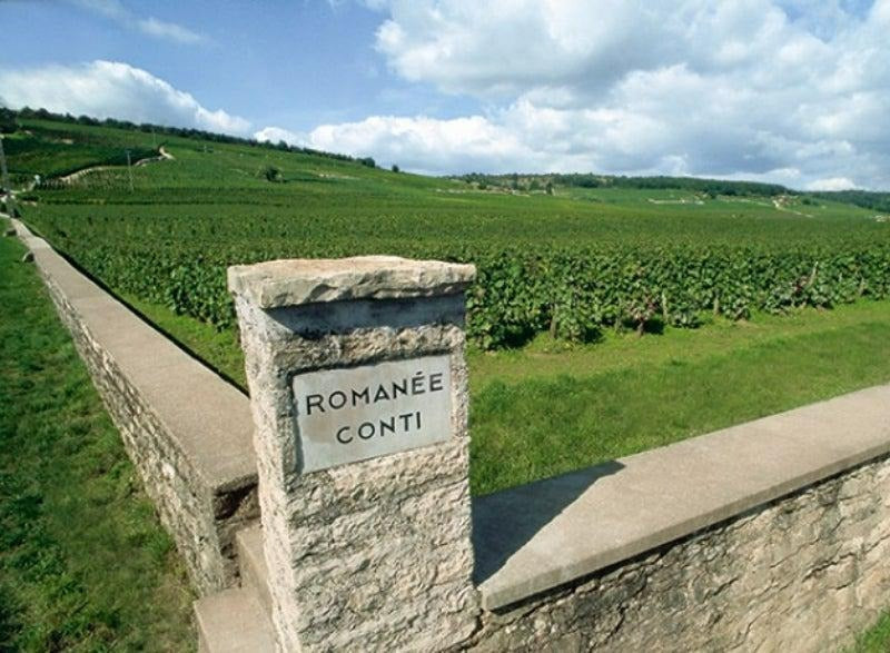 The historic Romanee-Conti vineyard