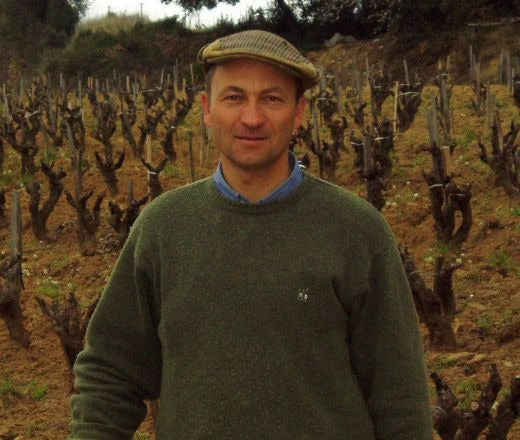 Emmanuel Reynaud in the vineyards of Domaine des Tours