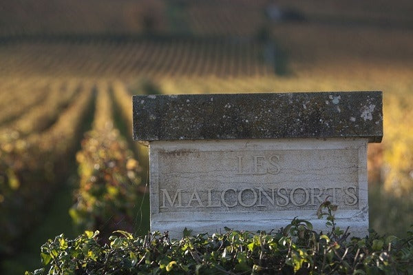 Les Malconsorts vineyard of Domaine Dujac