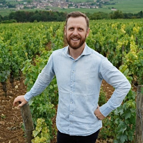 Guillaume Lavollée in the vineyard