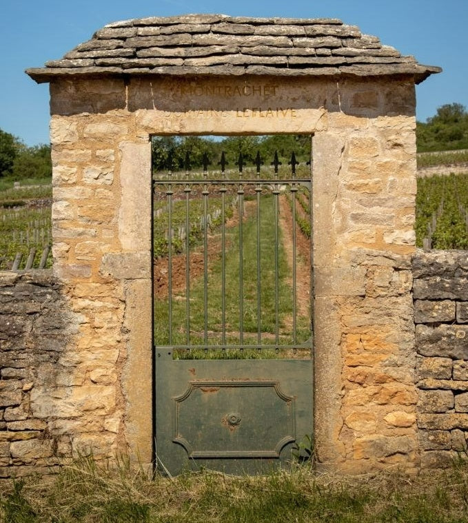 Domaine Leflaive's Montrachet vineyards