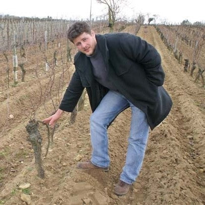 Jerome Lenoir in the vineyard