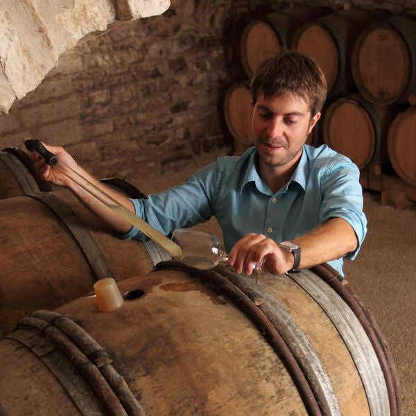 Thomas Pico of Domaine Pattes Loup make steely, lean, organically farmed Chablis 