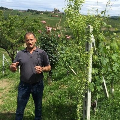 Elio Sandri in the vineyard