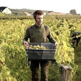 Émilien Feneuil in the vineyard