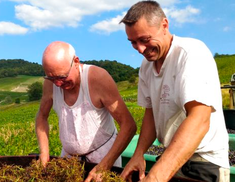 Emmanuel Houillon and Pierre Overnoy make natural wines in Jura, France.