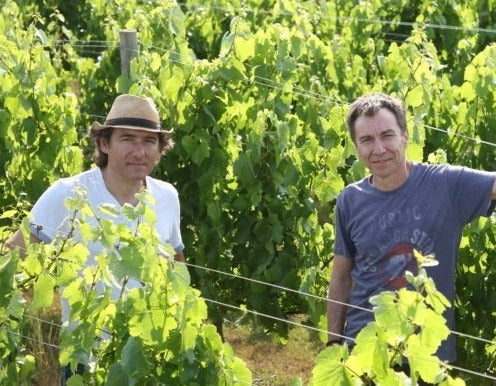 The Raveneau brothers - Jean-Marie and Bernard in the vineyards of Domaine Francois Raveneau