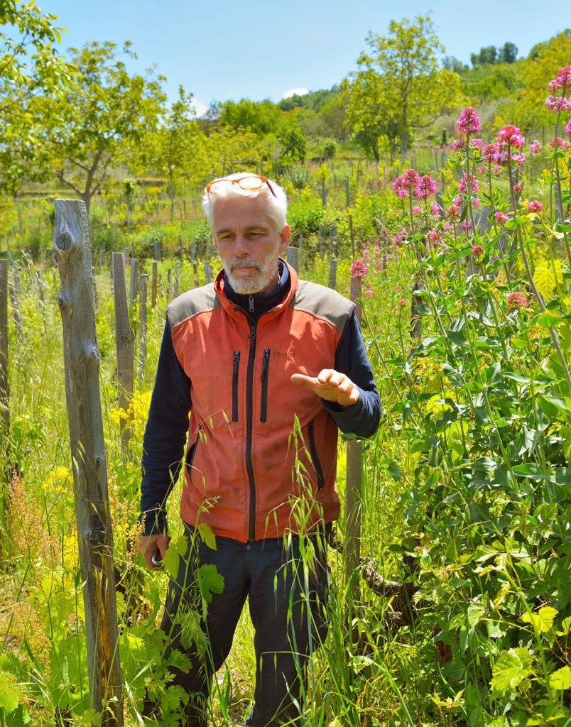 Frank Cornelissen in the vineyard on Mt. Etna