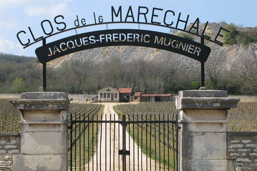 The Clos de la Marechale vineyard of Jacques-Frederic Mugnier