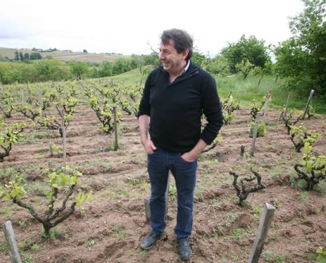 Jean Foillard of Beaujolais with old vines in Morgon and Fleurie