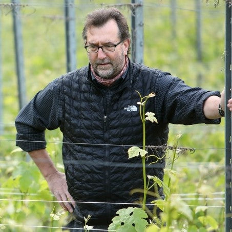 Alan Manley in the vineyard