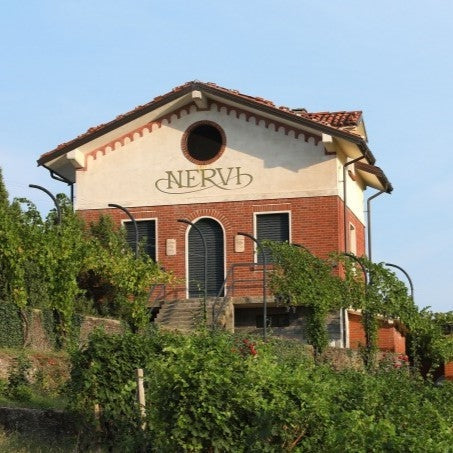 Nervi-Conterno estate