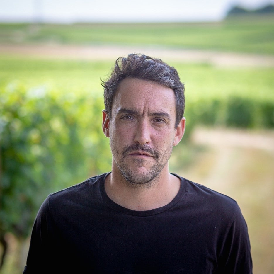 Pierre-Adrien Vade in the vineyard