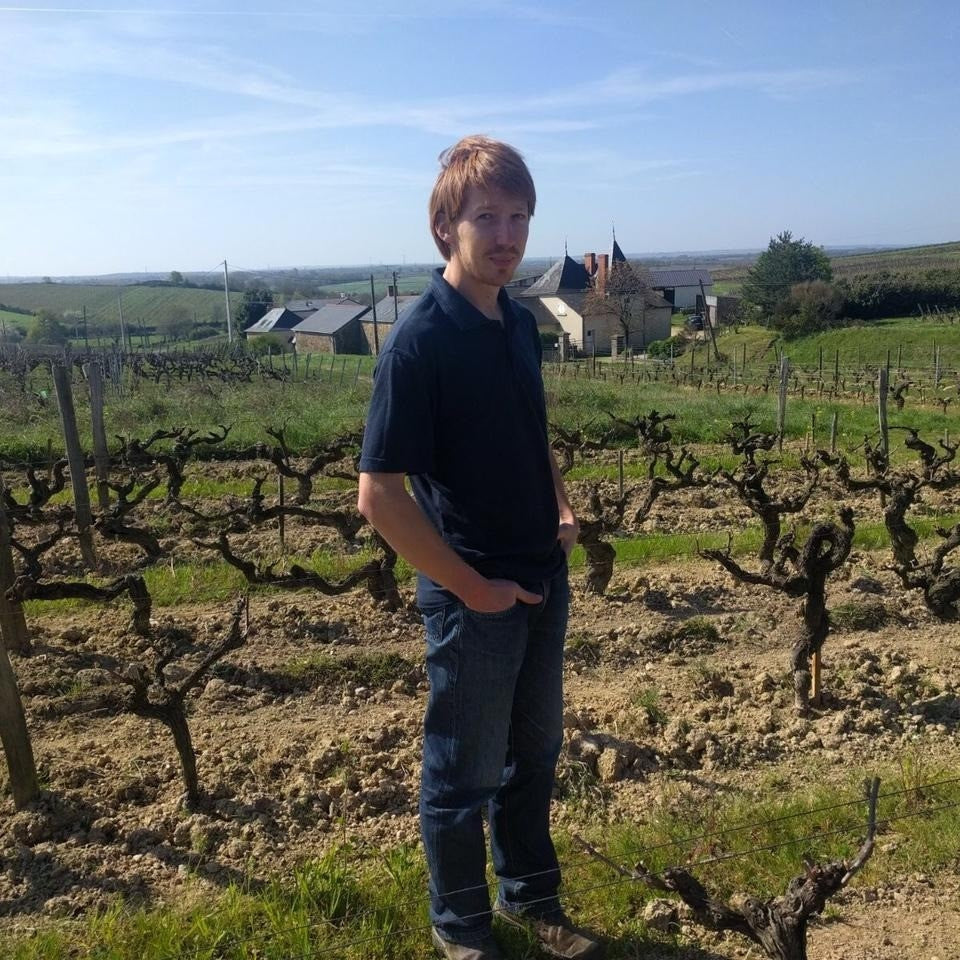 Pierre Menard in the vineyard