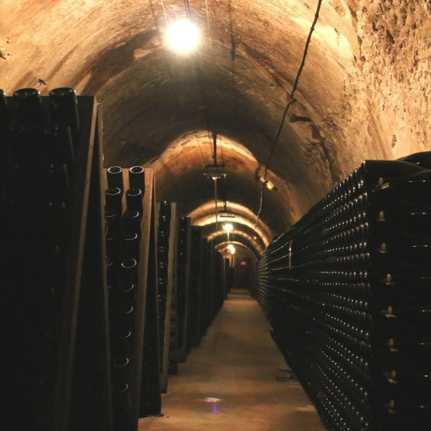 Inside the wine cave at Ployez-Jacquemart