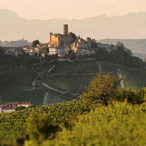 The Vietti estate and vineyards