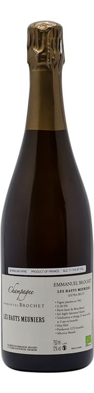 2011-Emmanuel-Brochet-