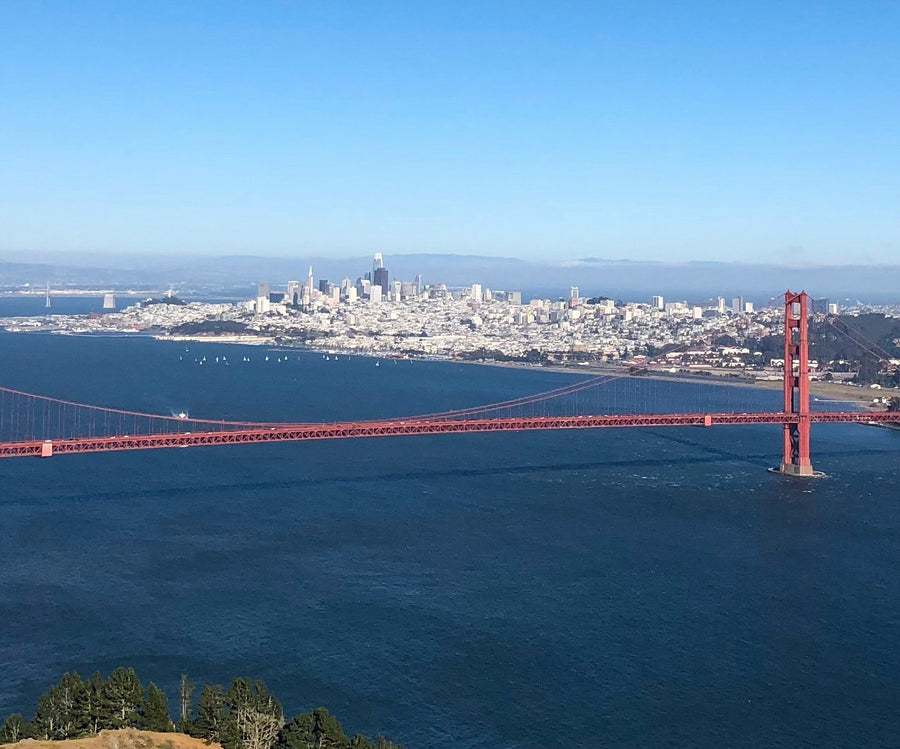 Bay Area, We Got You.