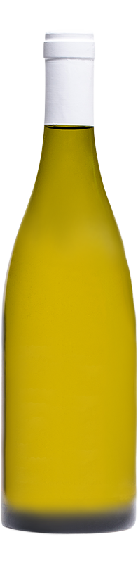 2023 Furst Riesling Pur Mineral Franken 750ml